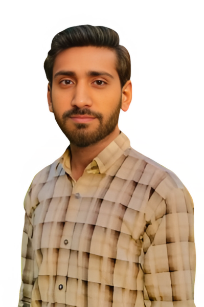 Wordpress Web designer